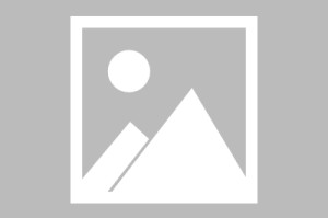 疫情医学使命(从疫情看医学使命和担当)